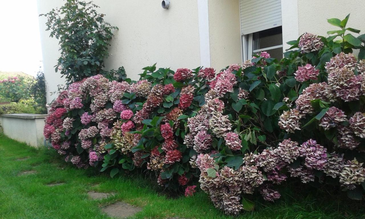 Chambres D'Hotes Le Clos Du Verger Cattenom ภายนอก รูปภาพ
