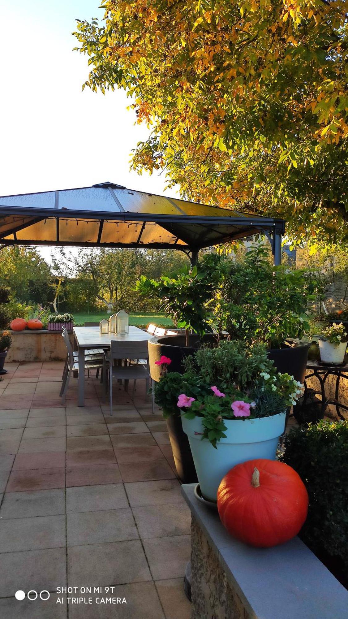 Chambres D'Hotes Le Clos Du Verger Cattenom ภายนอก รูปภาพ