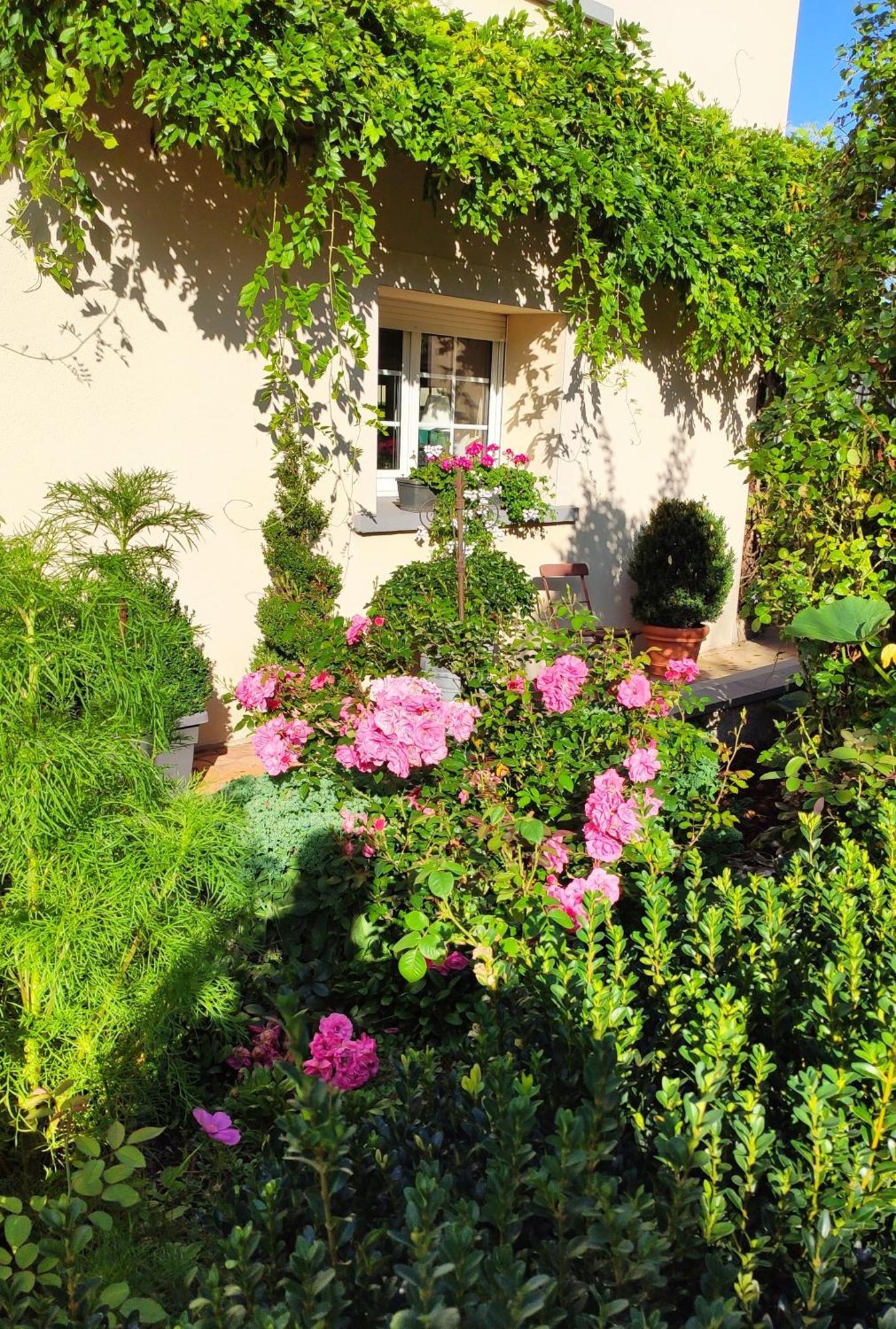 Chambres D'Hotes Le Clos Du Verger Cattenom ภายนอก รูปภาพ