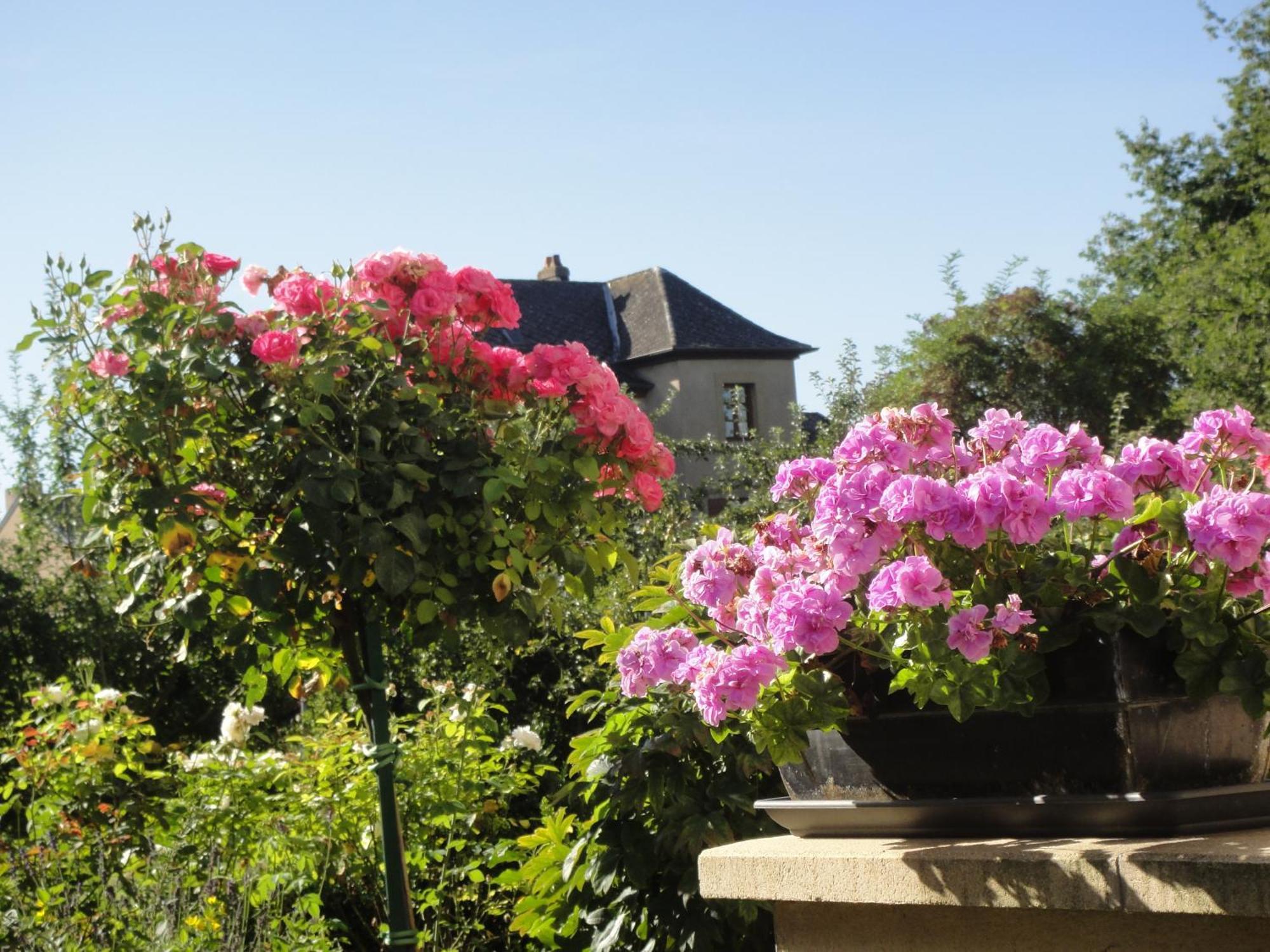Chambres D'Hotes Le Clos Du Verger Cattenom ภายนอก รูปภาพ